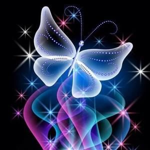 Meet your Posher, Judy